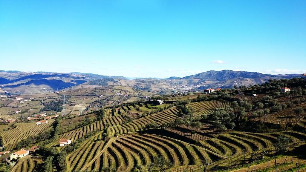 Вілла Casa Quinta Da Adega Do Chao - Vale Do Douro Ламегу Номер фото