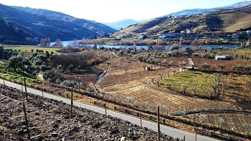 Вілла Casa Quinta Da Adega Do Chao - Vale Do Douro Ламегу Номер фото